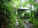 photo thumbnail #14