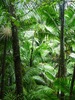 photo thumbnail #15