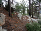 photo thumbnail #2