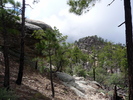 photo thumbnail #4