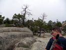 photo thumbnail #9