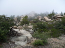 photo thumbnail #13