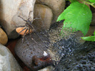 photo thumbnail #13