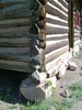 photo thumbnail #12