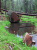 photo thumbnail #13