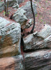 photo thumbnail #14