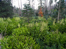 photo thumbnail #4