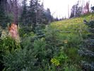 photo thumbnail #5