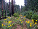 photo thumbnail #9