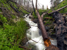photo thumbnail #14