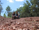 photo thumbnail #10