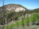 photo thumbnail #6