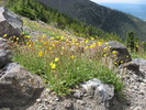 photo thumbnail #6