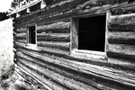 photo thumbnail #8