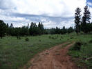 photo thumbnail #4