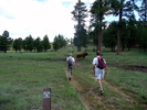 photo thumbnail #6