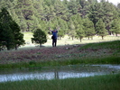 photo thumbnail #9