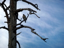 photo thumbnail #11