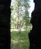 photo thumbnail #13