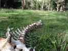 photo thumbnail #14
