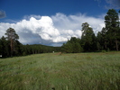 photo thumbnail #15