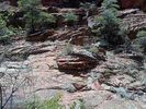 photo thumbnail #4