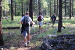 photo thumbnail #5