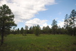 photo thumbnail #10
