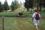 photo thumbnail #12