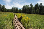 photo thumbnail #13