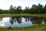 photo thumbnail #15