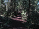 photo thumbnail #8