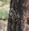 photo thumbnail #3