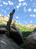 photo thumbnail #8