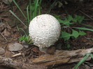 photo thumbnail #8