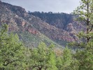 photo thumbnail #6