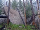 photo thumbnail #2