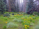 photo thumbnail #3