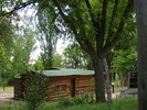 photo thumbnail #13