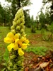 photo thumbnail #15