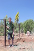photo thumbnail #1