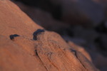 photo thumbnail #14