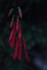 photo thumbnail #15