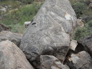 photo thumbnail #3