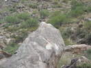 photo thumbnail #4