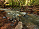 photo thumbnail #4