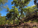 photo thumbnail #5