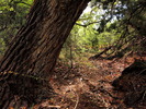photo thumbnail #15