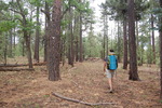 photo thumbnail #2
