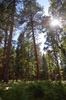 photo thumbnail #15